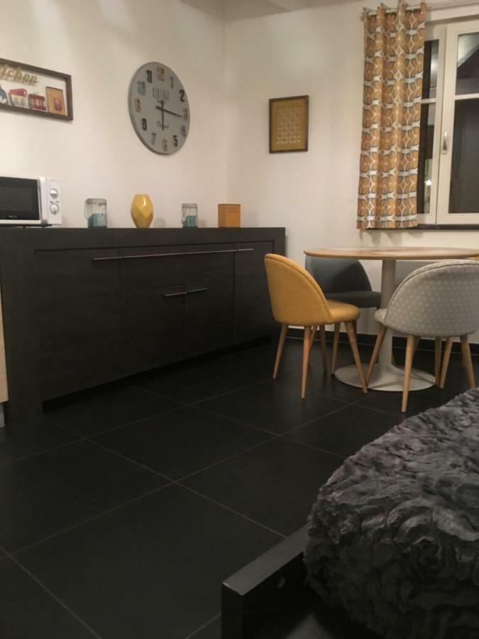 Berthe Molly Apartment Colmar